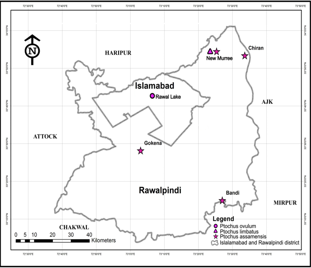 Figure 4: