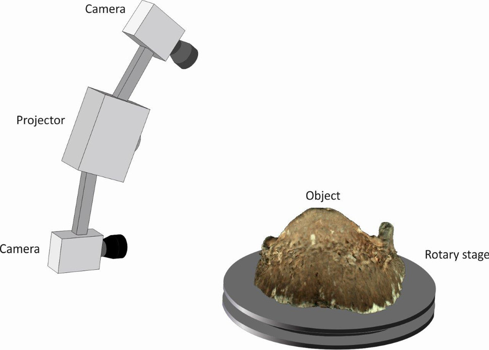 Fig. 3.