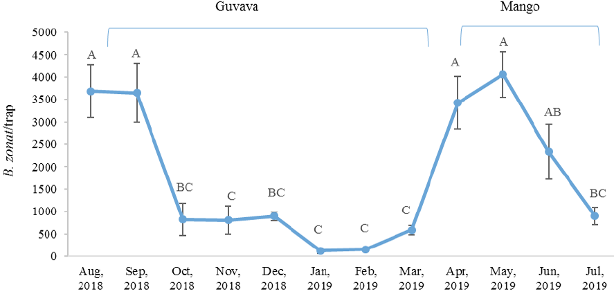 Figure 2: