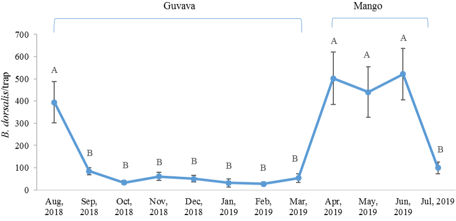 Figure 3: