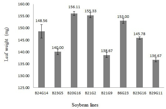 Figure 5:
