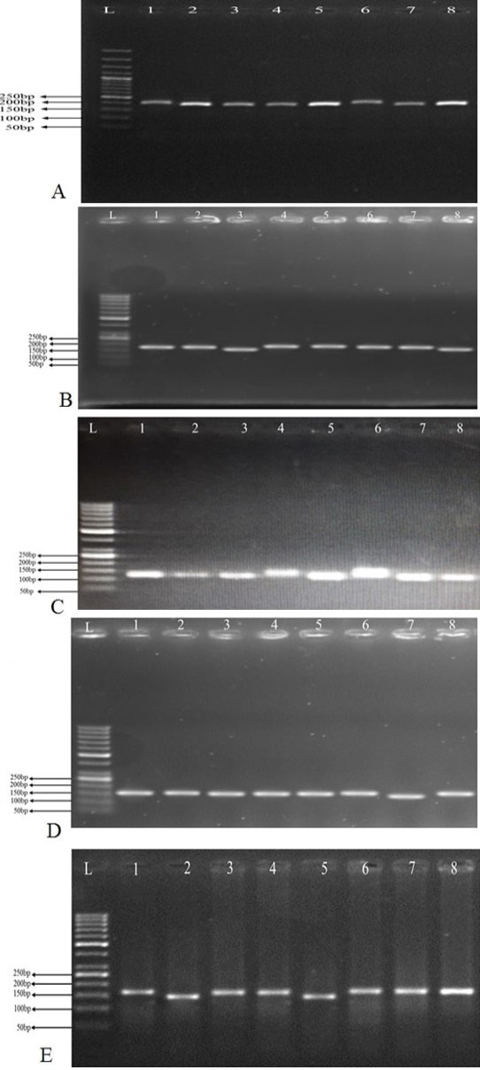 Figure 6: