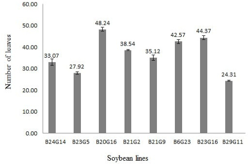 Figure 2: