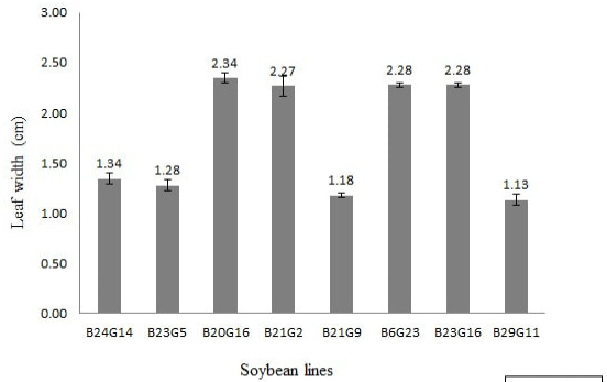 Figure 3: