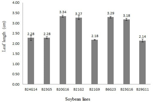 Figure 4: