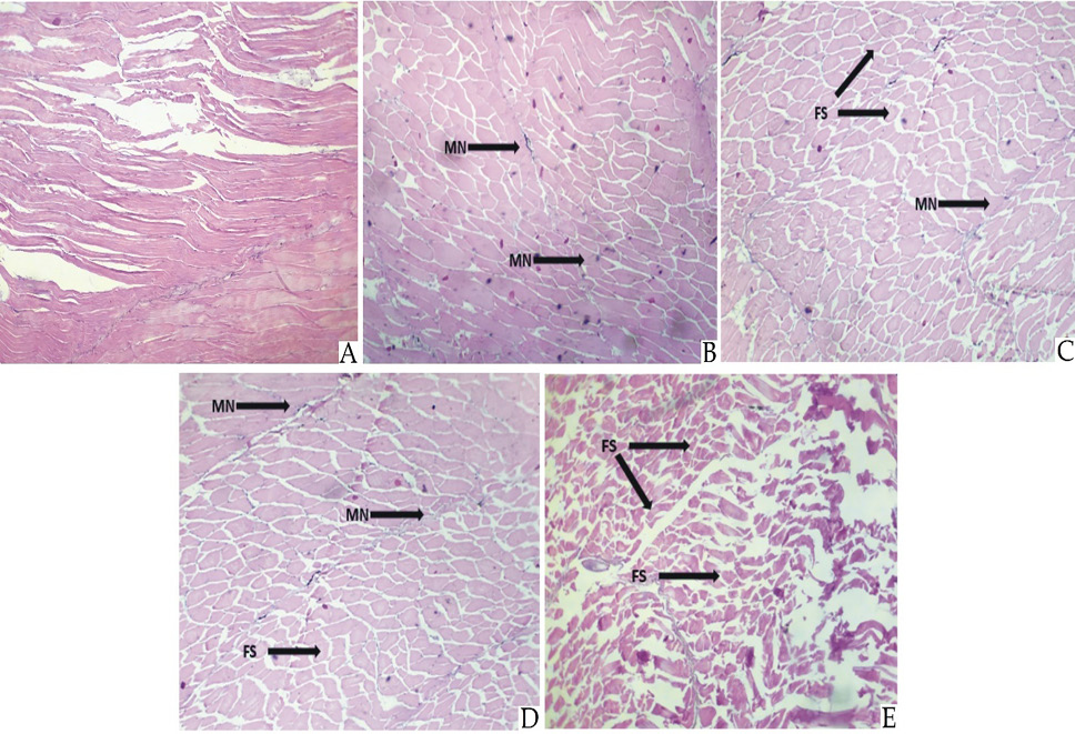 Fig. 9.
