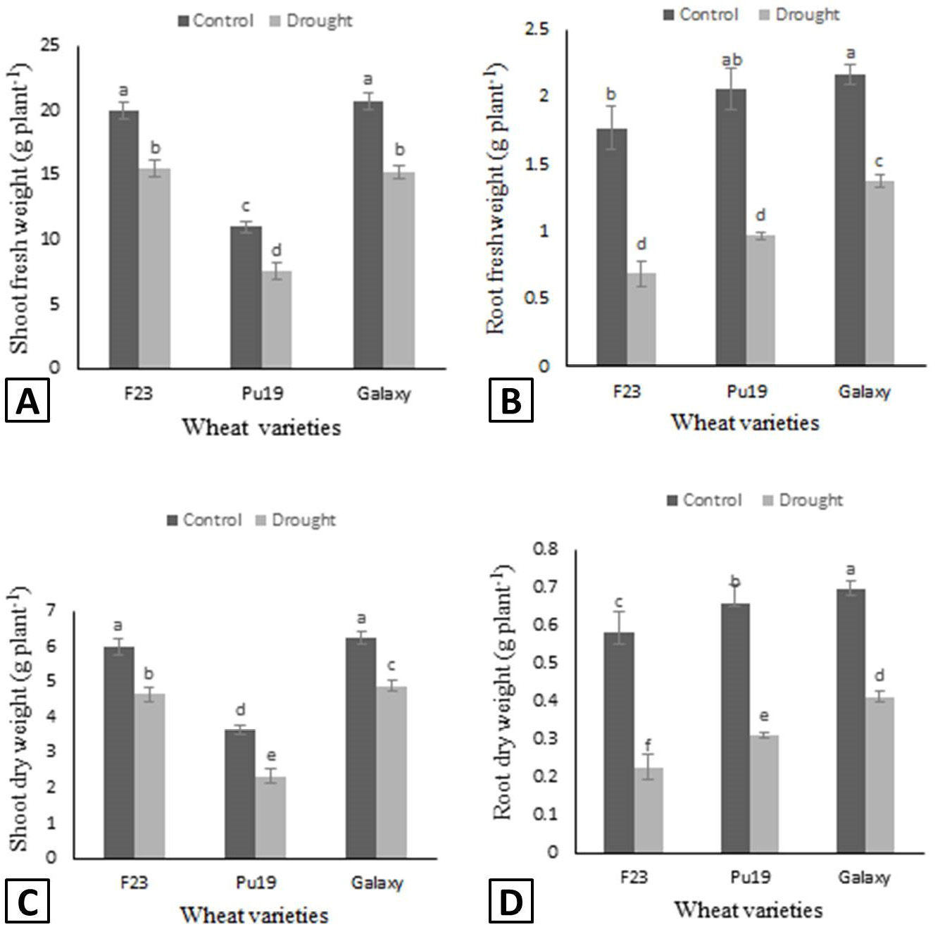 Figure 2:
