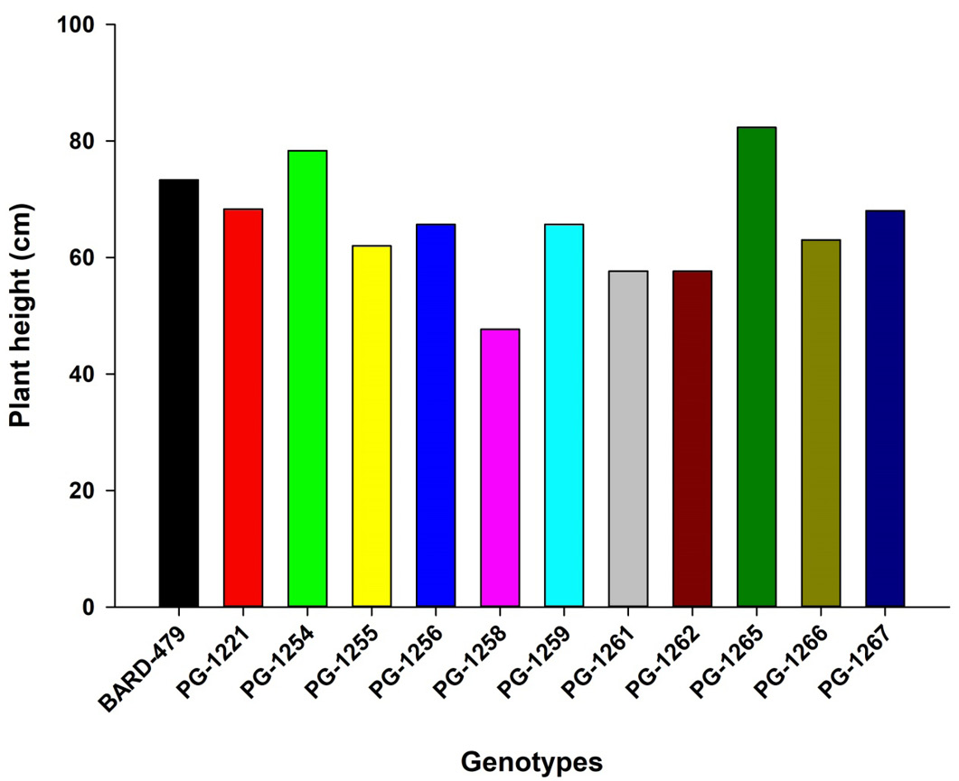 Figure 2:
