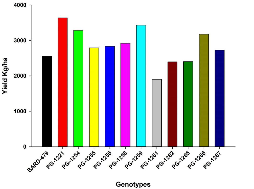 Figure 10: