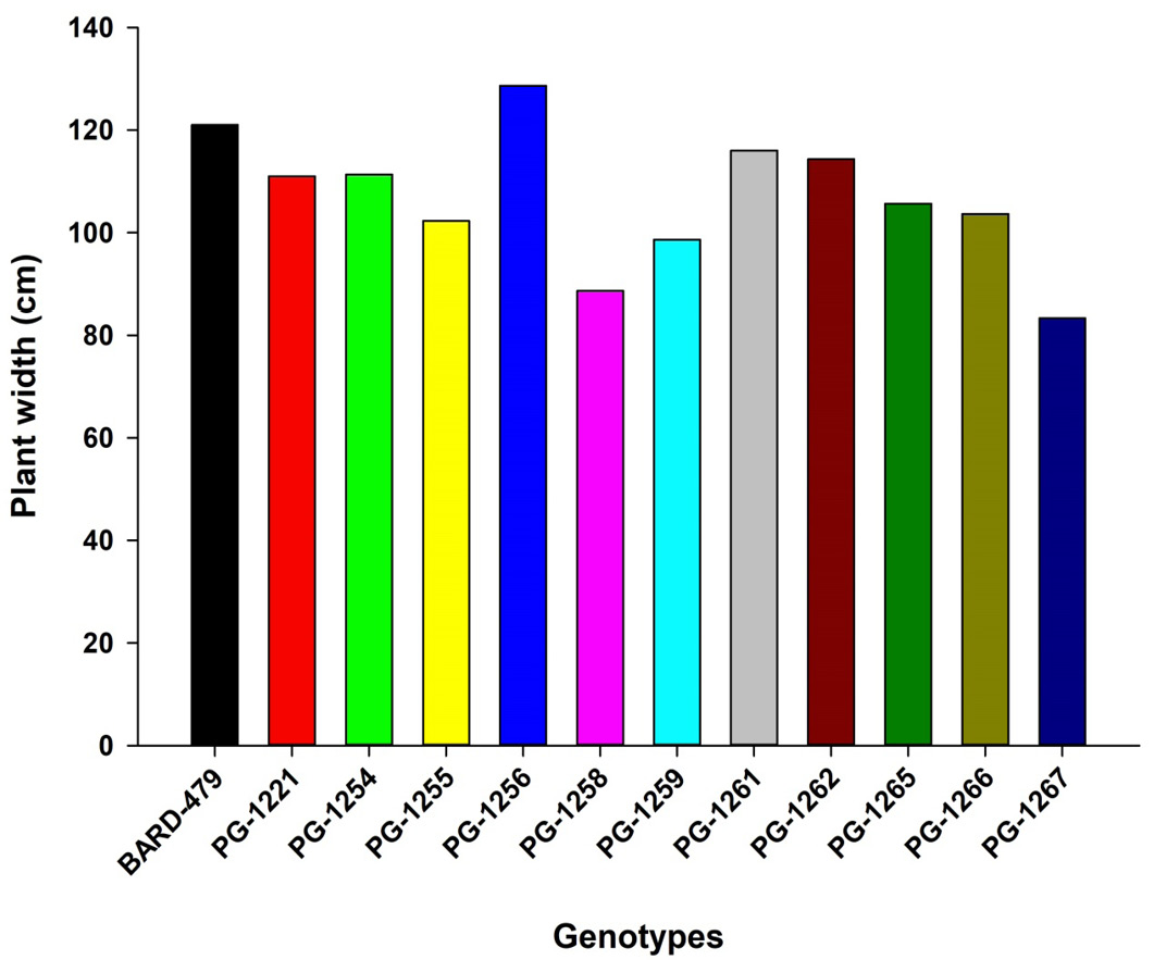 Figure 3: