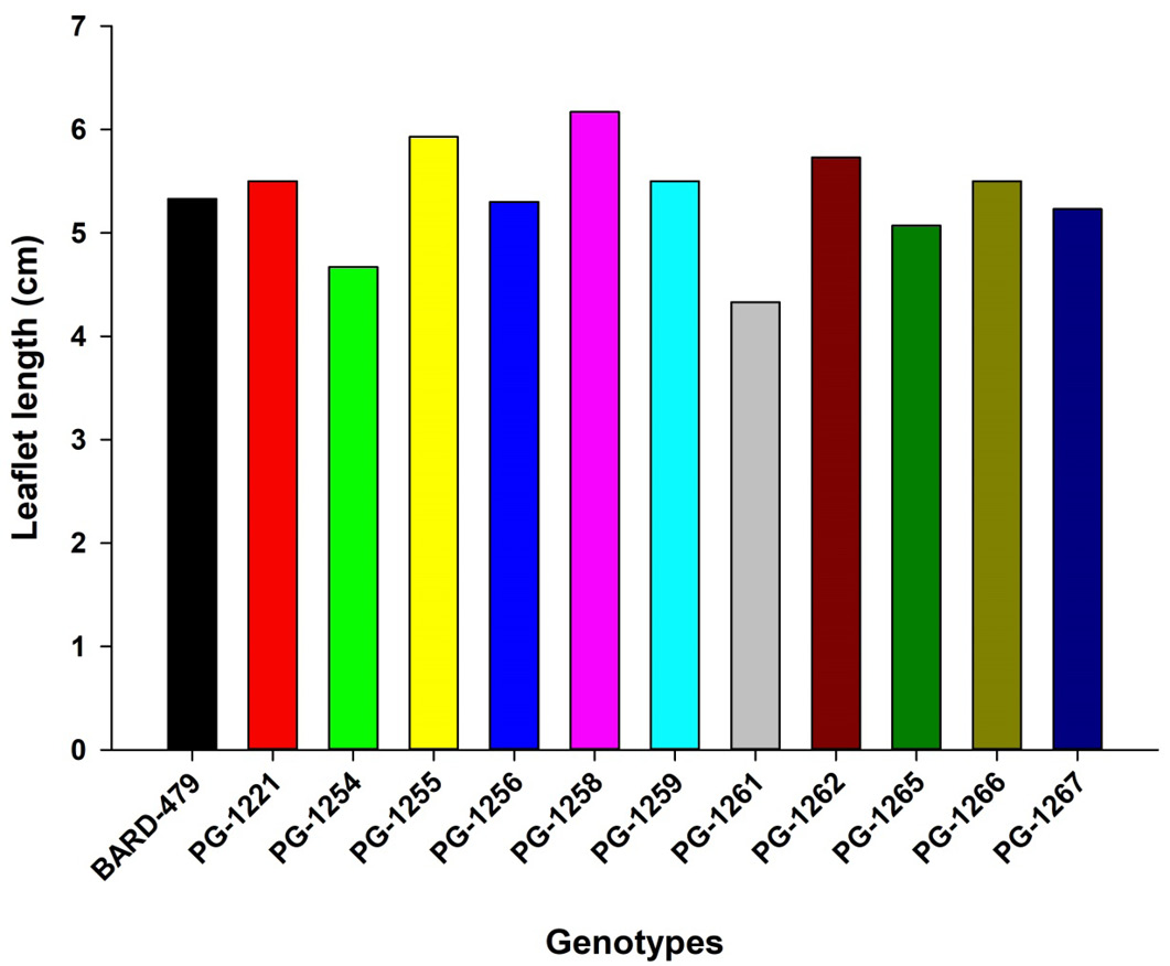 Figure 7:
