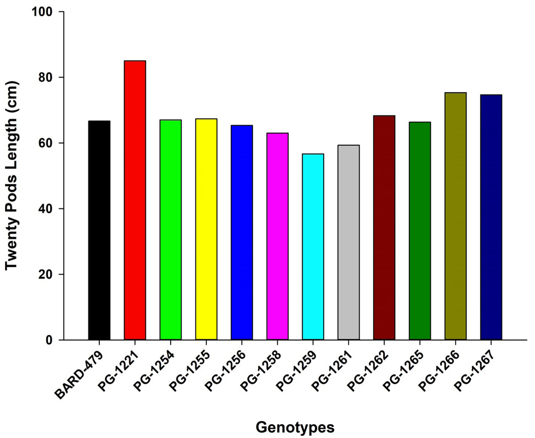 Figure 4: