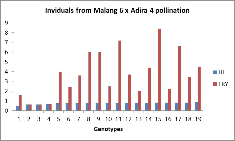 Figure 2: