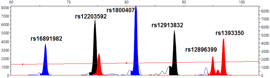 Fig. 1.