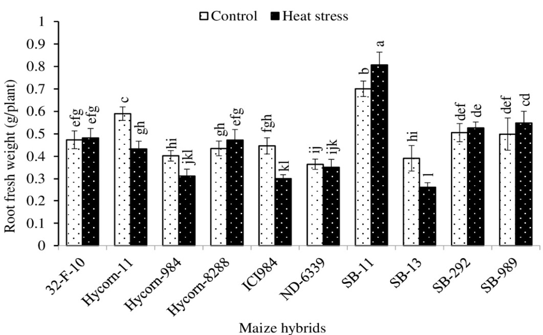 Figure 4: