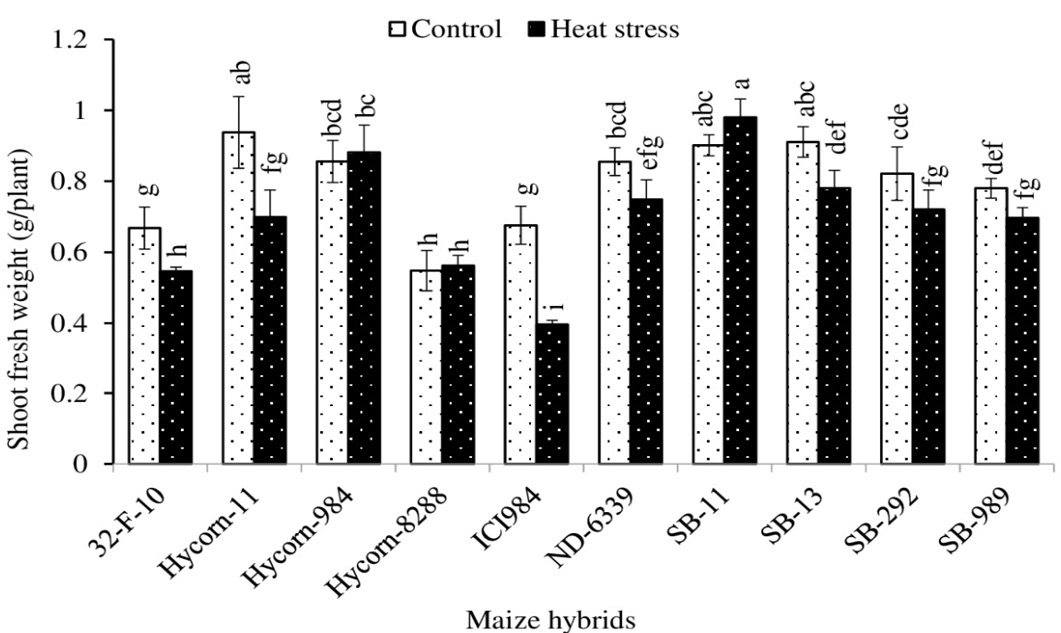 Figure 3: