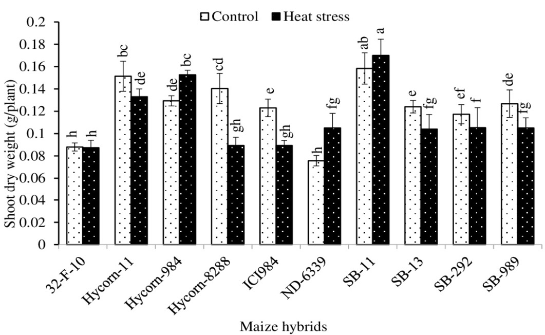 Figure 6: