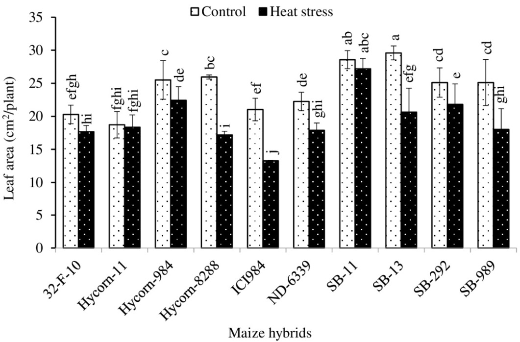 Figure 7: