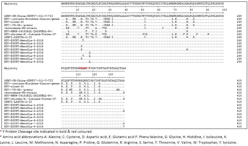 Figure 2: