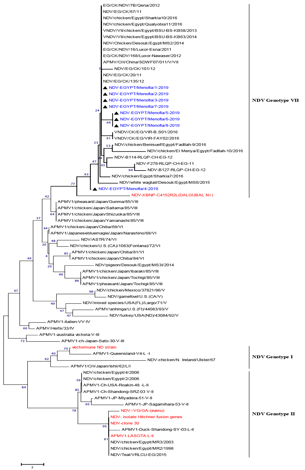 Figure 4:
