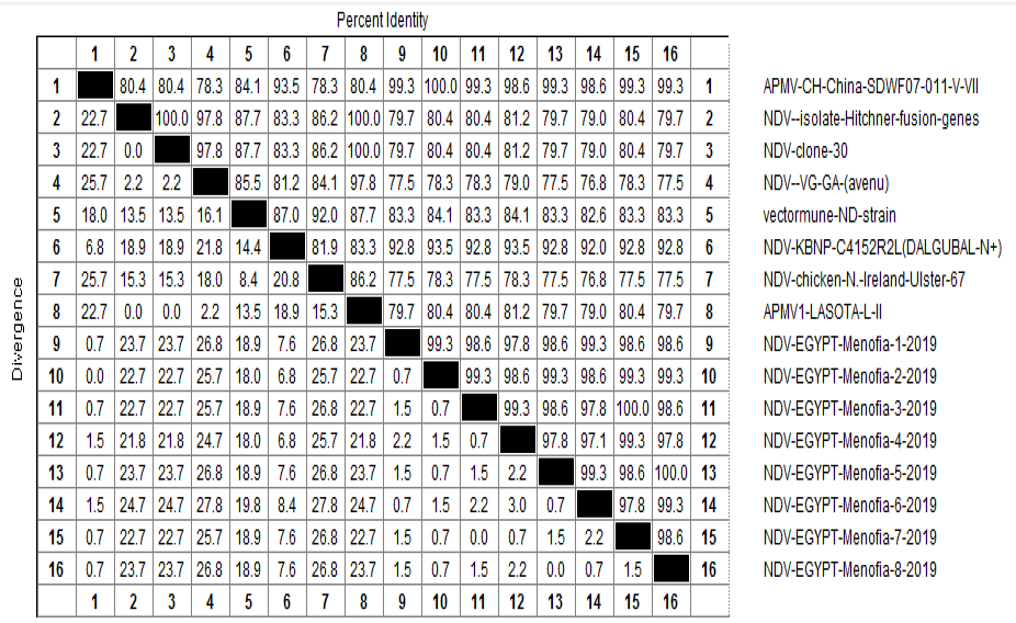 Figure 3: