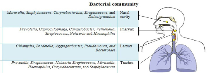 Figure 2:
