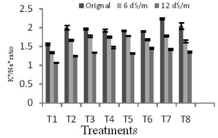 Figure 5:
