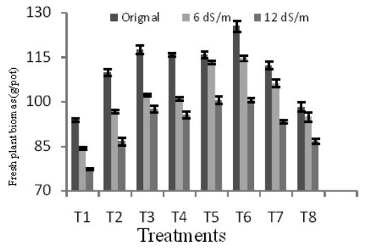 Figure 3: