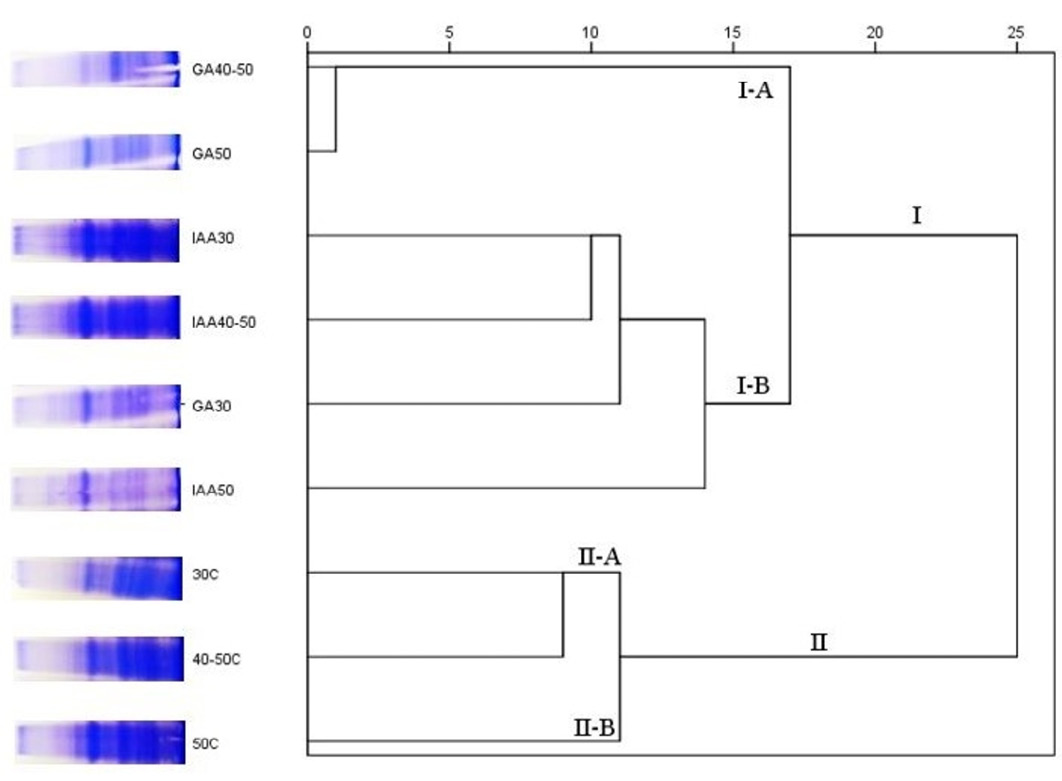 Figure 6: