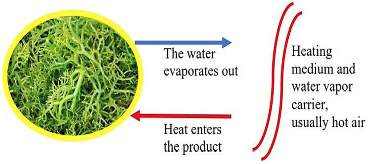 Figure 7: