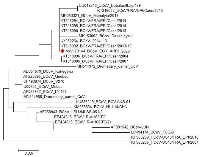Figure 2: