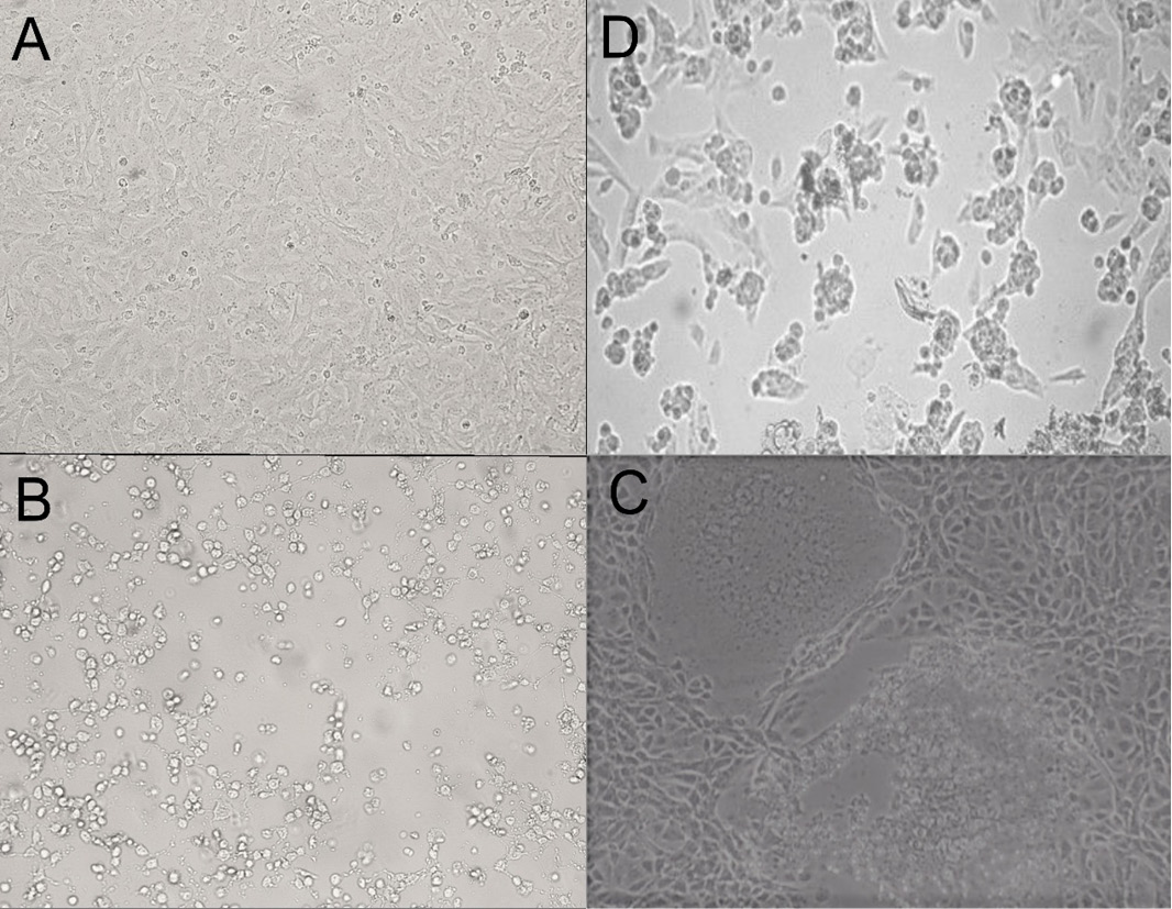Figure 3: