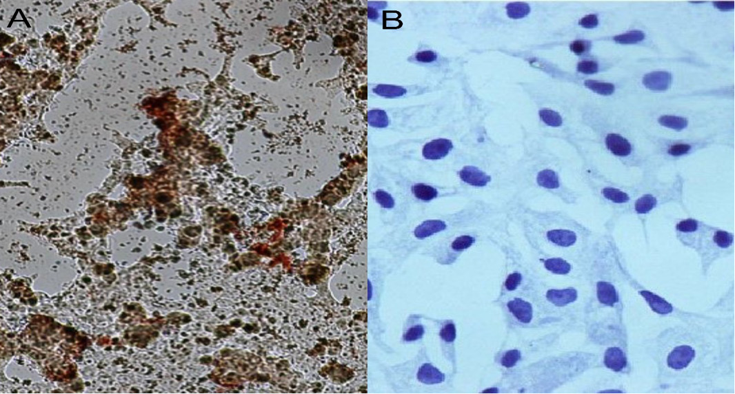 Figure 5: