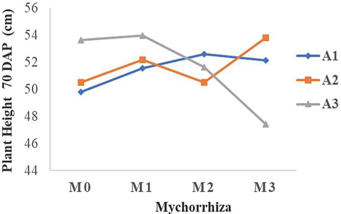 Figure 2: