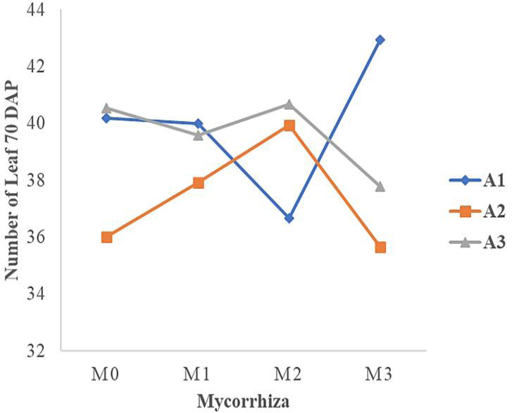 Figure 3: