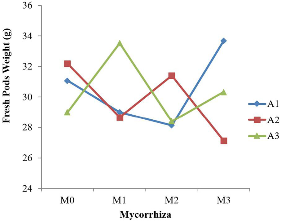 Figure 4: