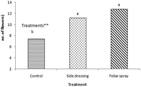 Figure 7: