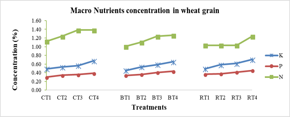 Figure 3: