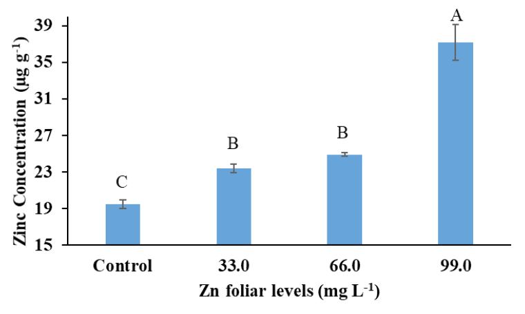 Figure 5: