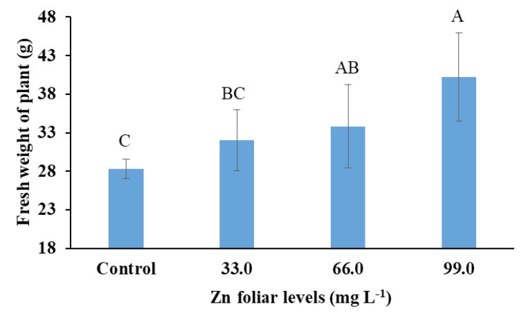 Figure 4: