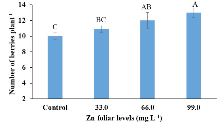 Figure 2: