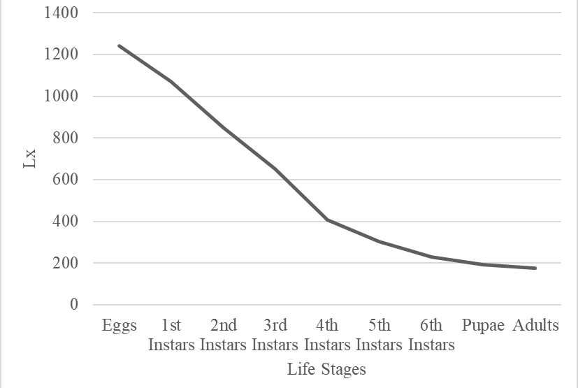 Graph 1: