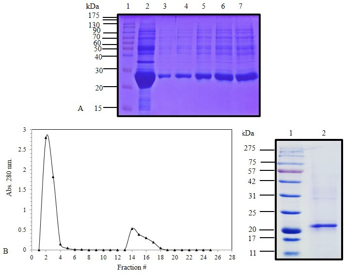 Fig. 8.