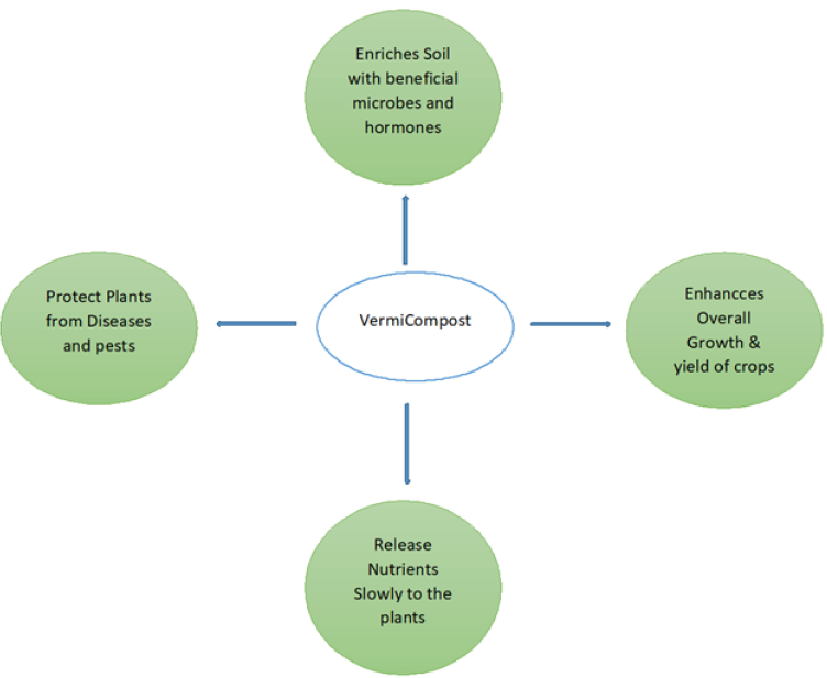 Figure 6: