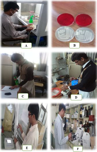 Figure 5: