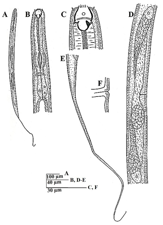 Figure 3: