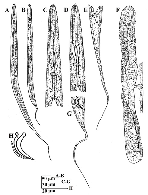 Figure 5:
