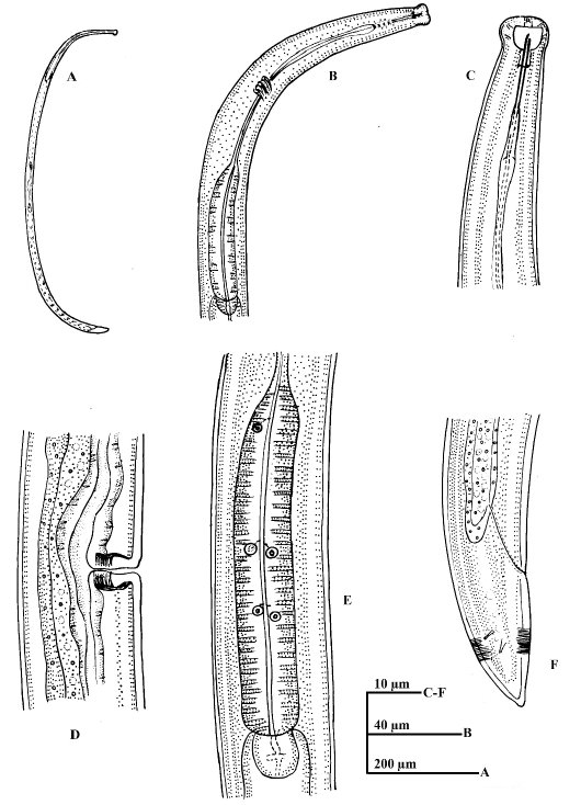 Figure 2: