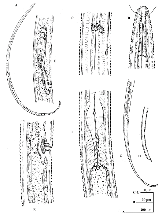 Figure 10: