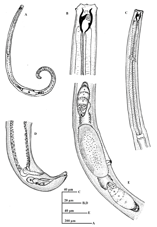 Figure 8: